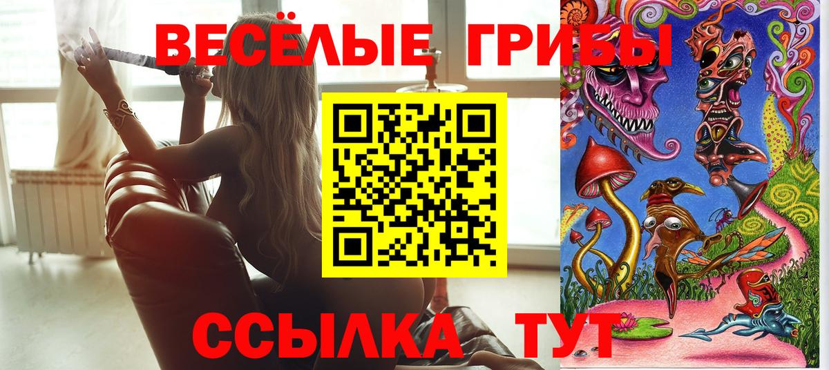 Галлюциногенные грибы Psilocybe  Псилоцибиновые грибы GOLDEN TEACHER  Вход с VPN  Зеленогорск 